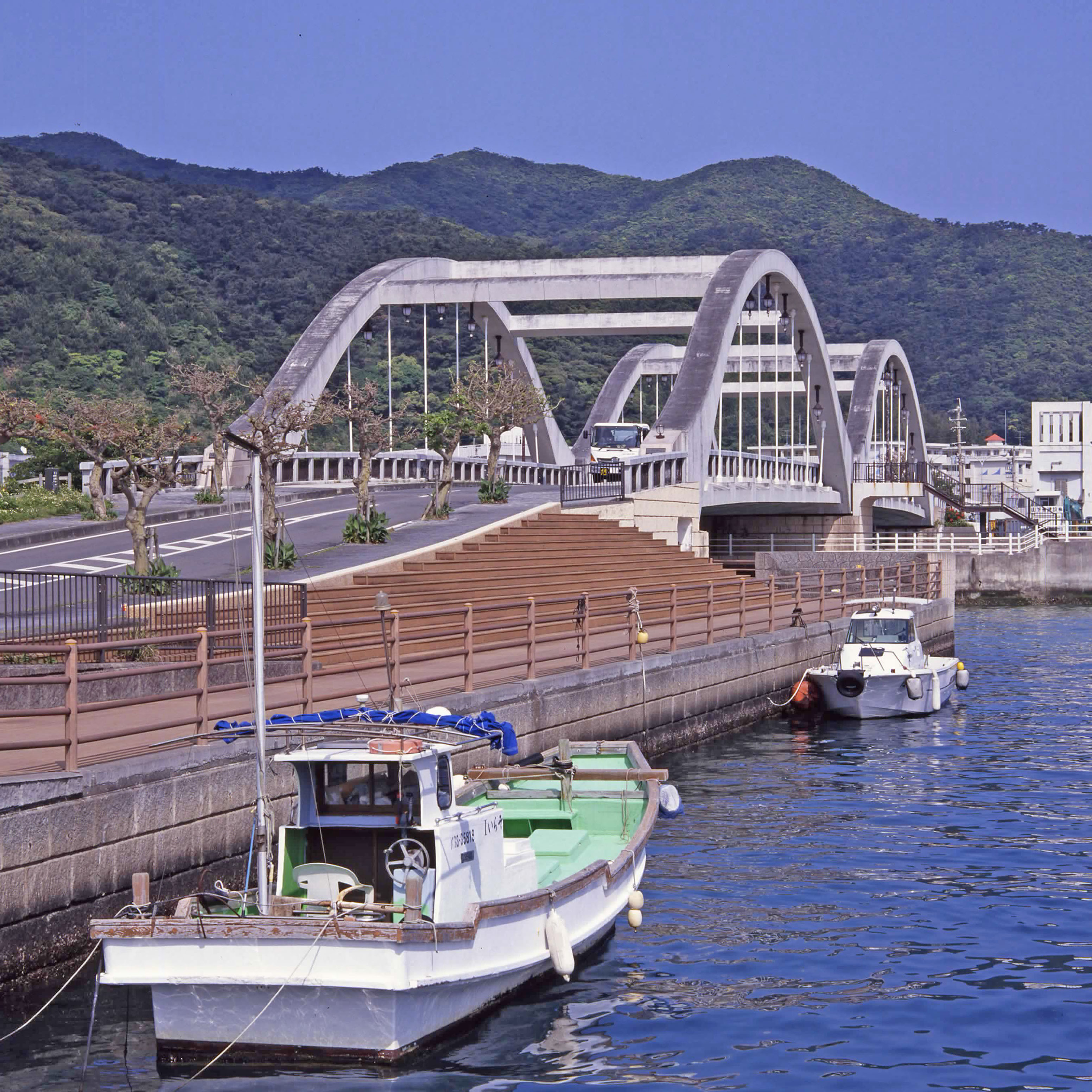 ハッセル　奄美大島